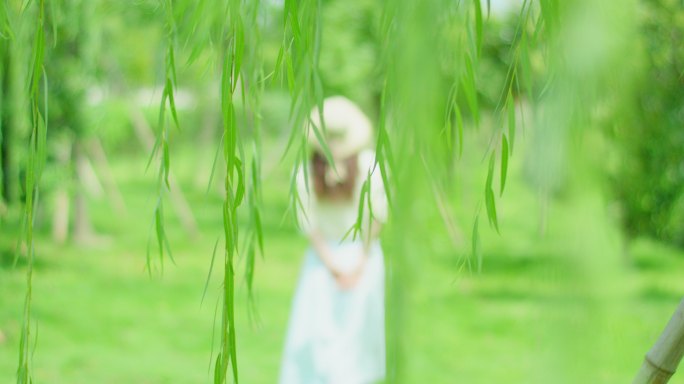 夏日 垂柳 阳光 微风 女性9