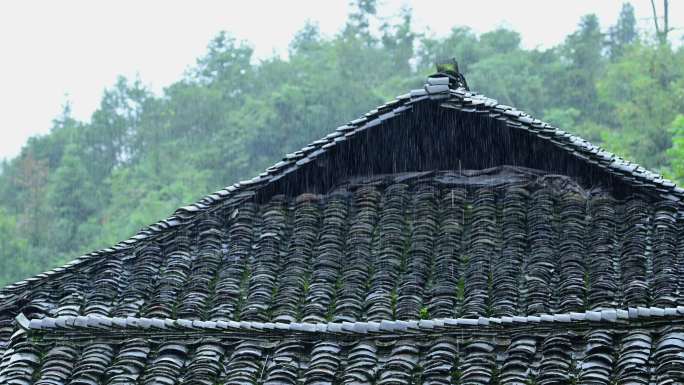 雨景