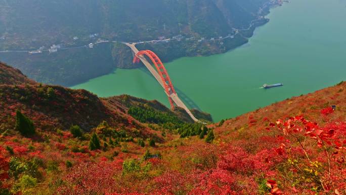 航拍长江三峡红叶