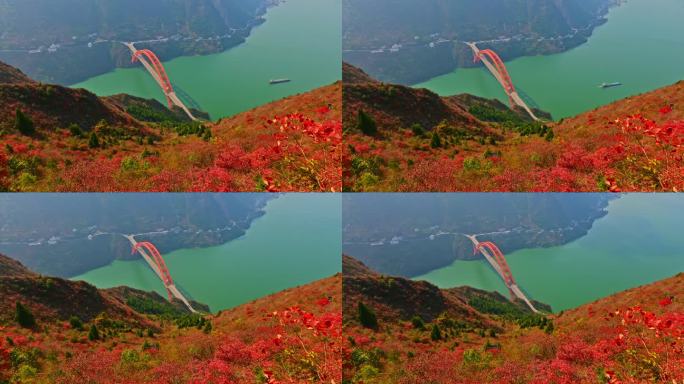 航拍长江三峡红叶