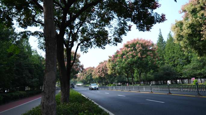 4K秋天景色的城市道路车流延时摄影1