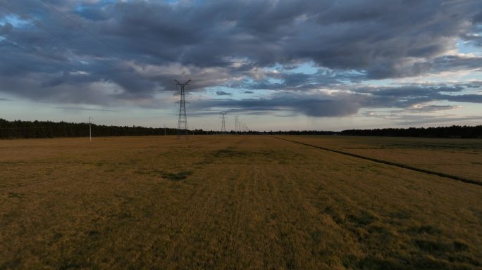 航拍傍晚稻田里的高压电线电塔