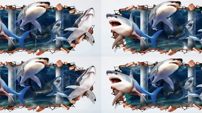 鲨鱼视频素材
