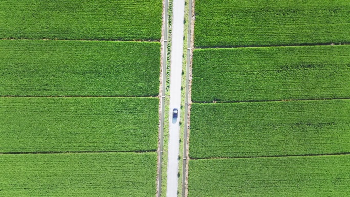 行驶在乡间小路上的汽车