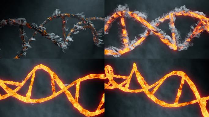 DNA基因突变