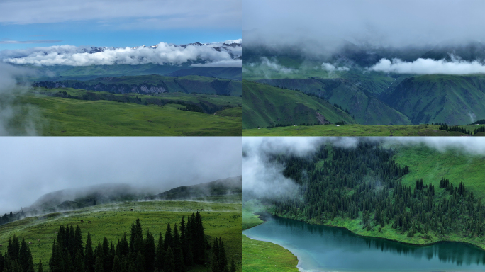 新疆伊犁大气风光雪山森林雾气