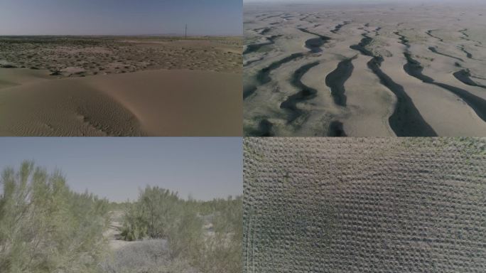 沙漠 生态保护 航拍
