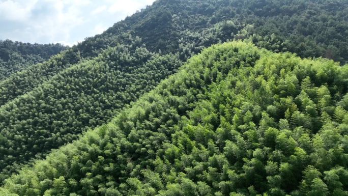 航拍磐安古村榉溪村