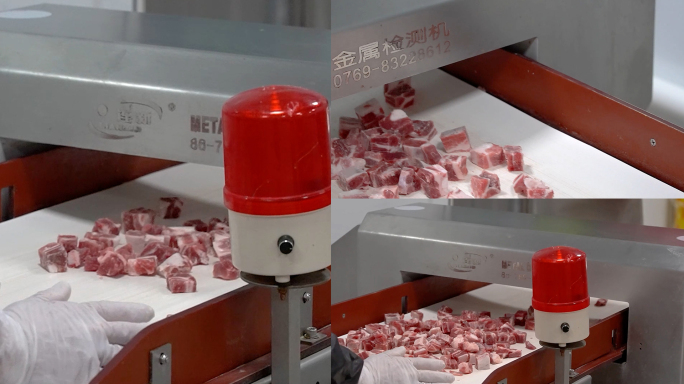 中央厨房肉类加工肉类食品金属探测机