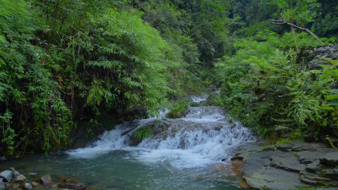 小溪的山泉水