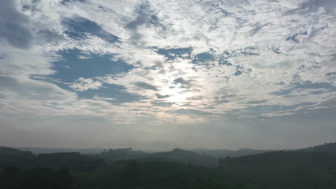 晨光晨雾生态环境从林乡村