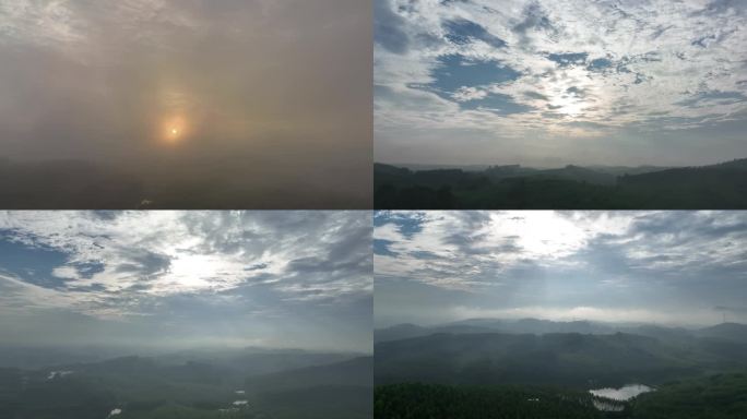 晨光晨雾生态环境从林乡村
