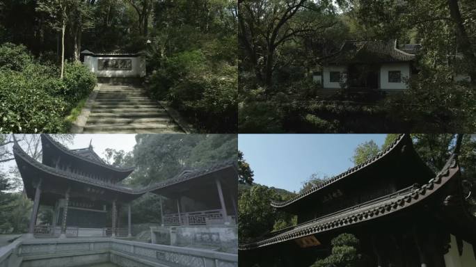 移动镜头杭州虎跑寺