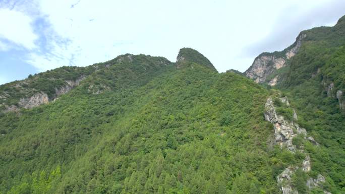 大山航拍森林