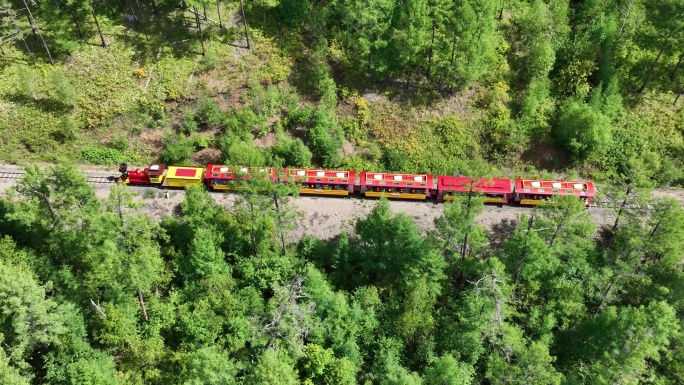 航拍行驶在绿色林海中的小火车