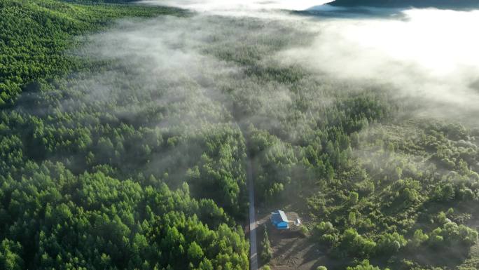 航拍森林公路小屋云雾迷漫