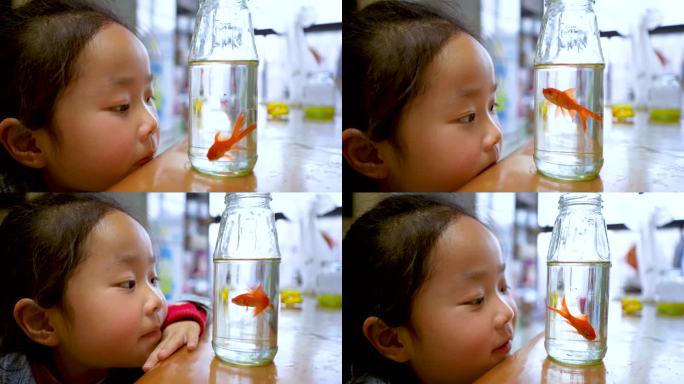 小女孩和小鱼对话 渴望自由生活
