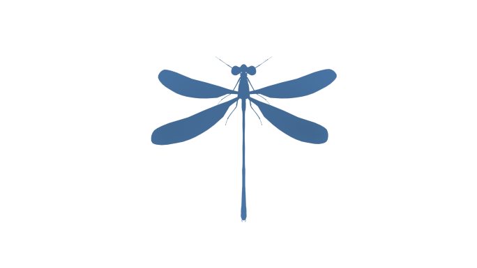 蜻蜓剪影循环动画【4K】