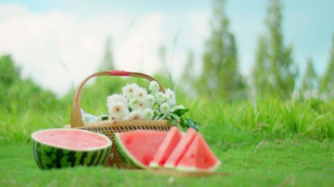 夏日 蓝天白云 雏菊 西瓜 草地