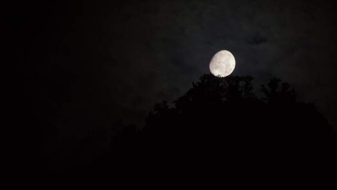 6K月亮在山顶树梢穿云02