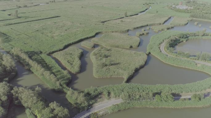 马踏湖湿地公园