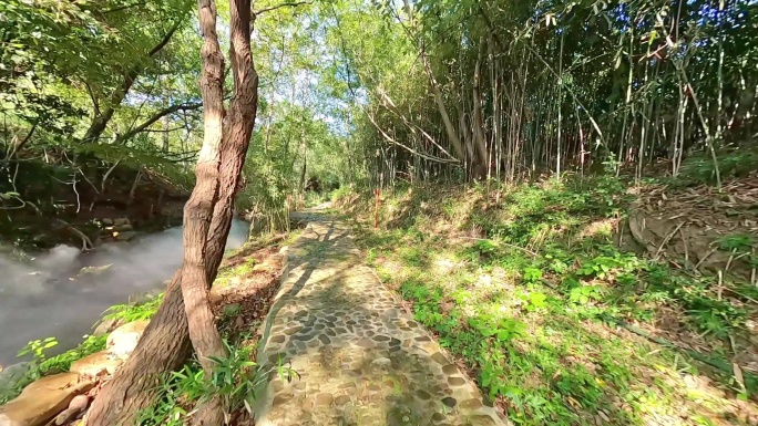 穿越机航拍热带雨林丁达尔效应小溪流水光影