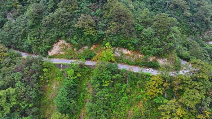 4K 航拍黔东南雷公山原始森林1