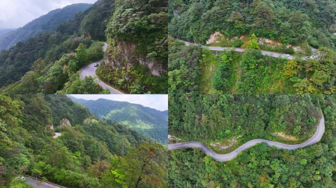 4K 航拍黔东南雷公山原始森林1