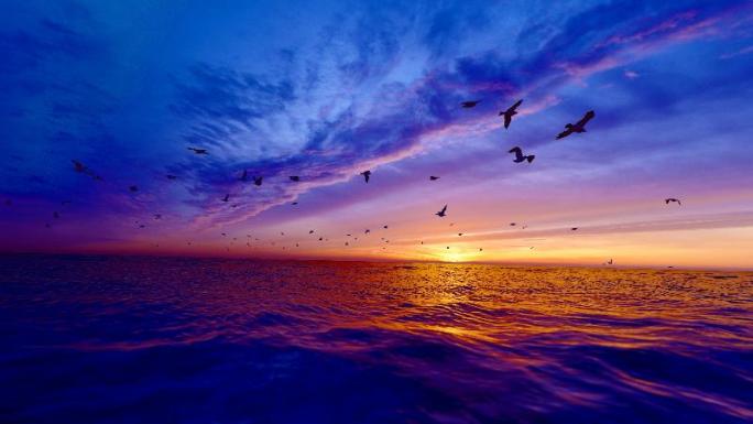 平静湖面飞翔的海鸥