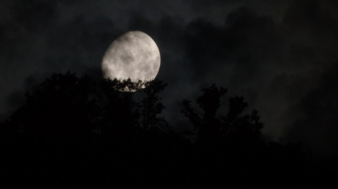 月亮爬上山头树梢