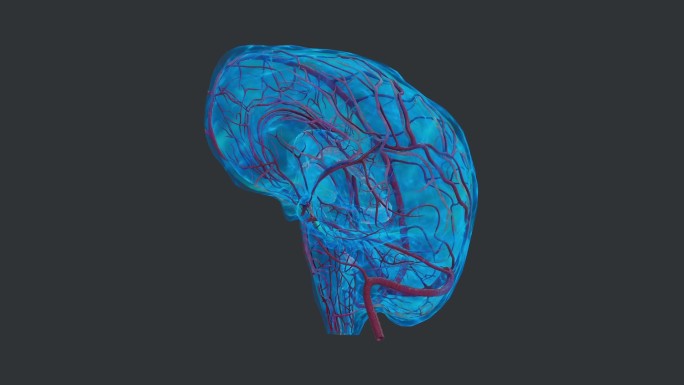 中枢神经系统 人体器官大脑 蓝色药物治疗
