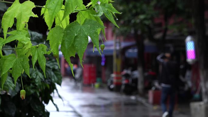 昆明老街的雨景