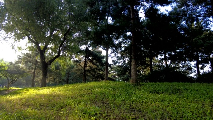 城市日出天际线河边落日小区楼房阳光大草坪