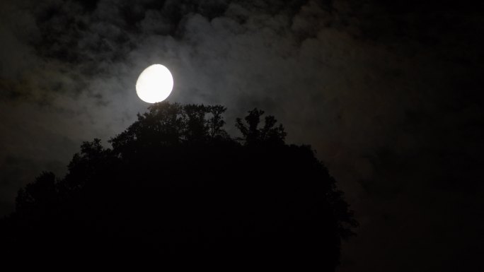 6K月亮在山顶树梢穿云01