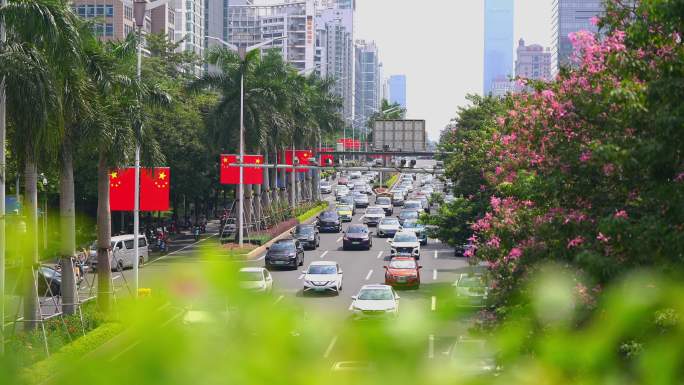 南宁国庆街道红旗氛围素材