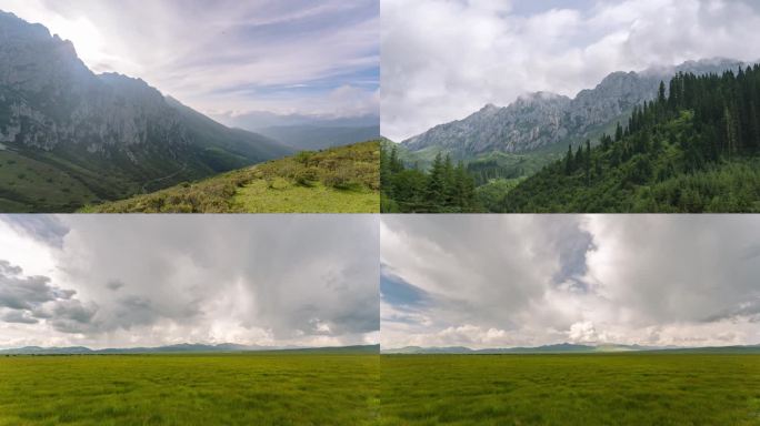 阿坝州高山草原森林延时4k