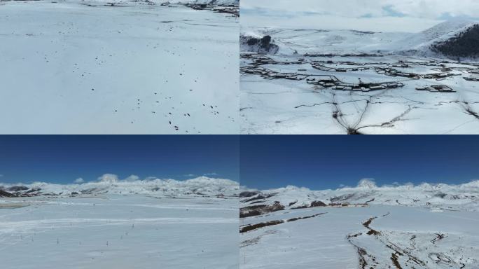 川西高原雪山雅拉雪山