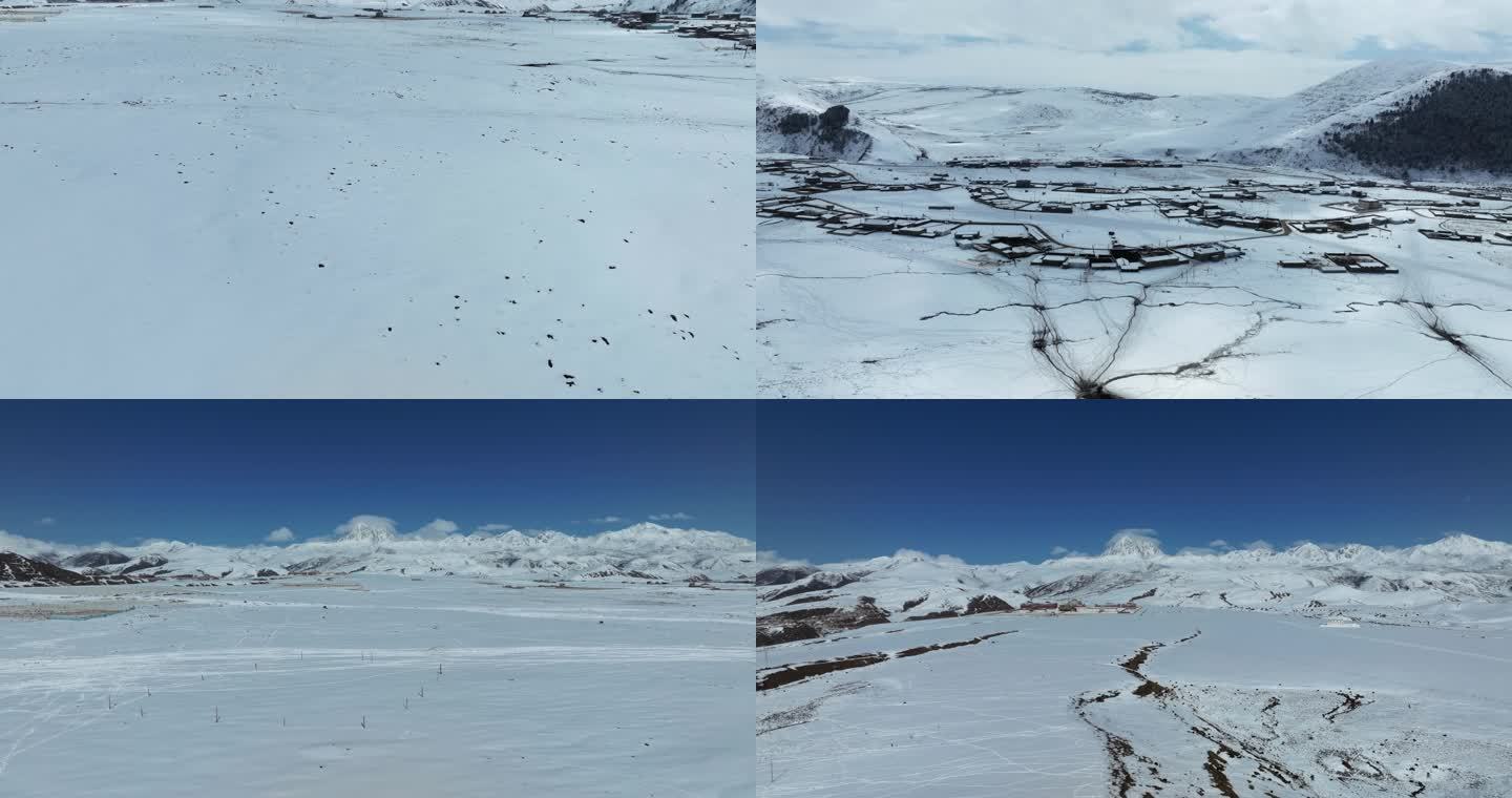 川西高原雪山雅拉雪山