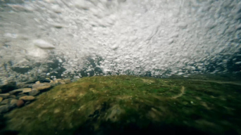 水流泡泡水藻合集04视频素材包