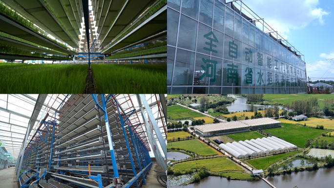 工厂育秧育苗育苗水稻育秧机器育秧盘