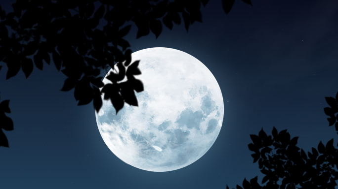 夜晚树梢枝头月亮圆月意境