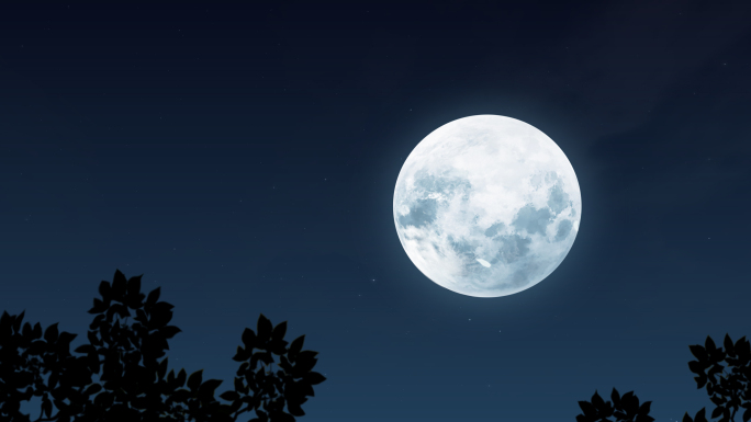 夜晚树梢枝头月亮圆月意境