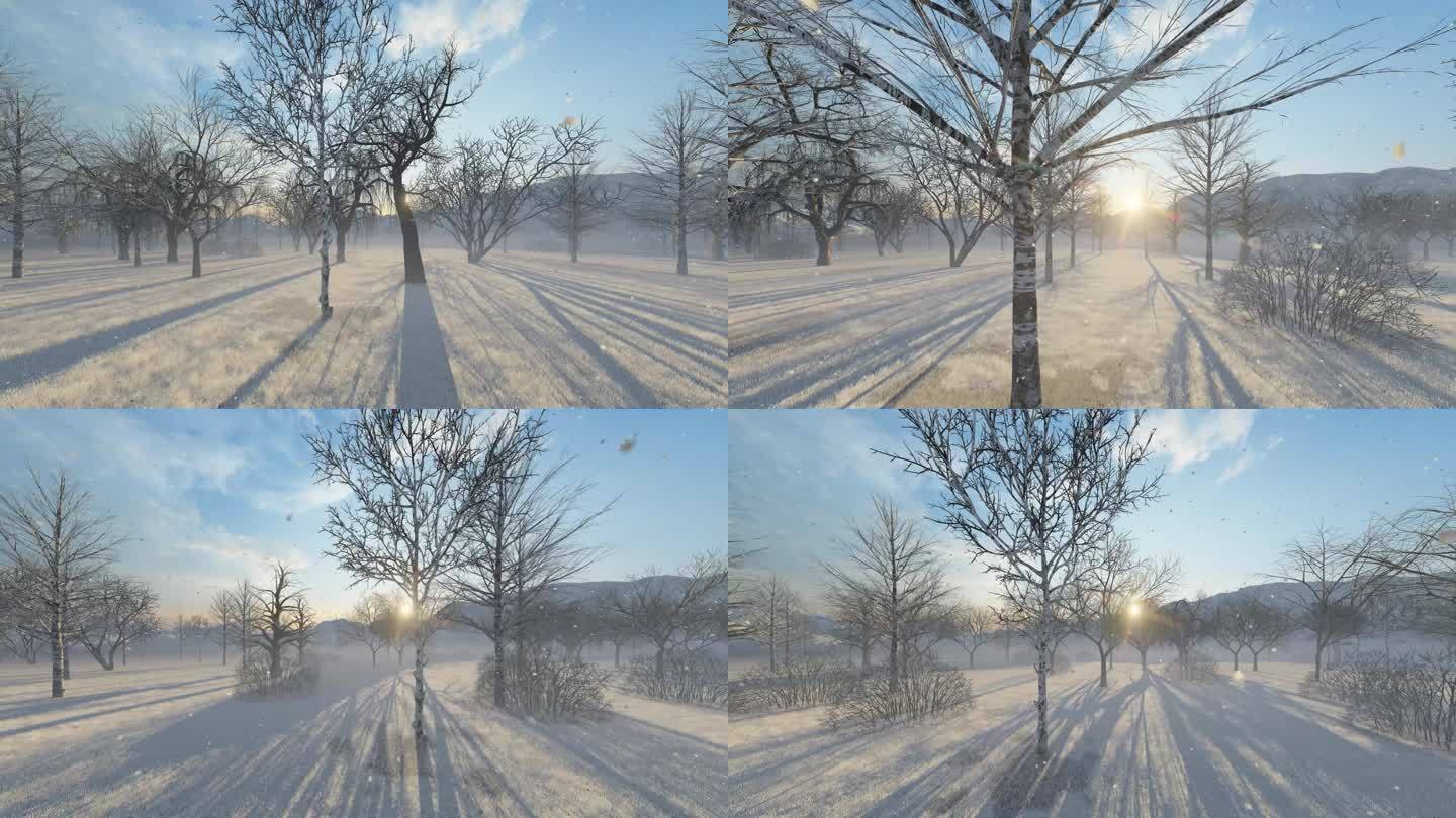 阳光透过树林雪地