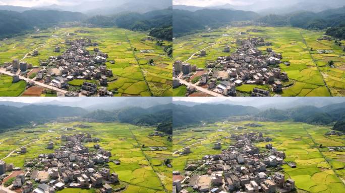 航拍山村 秋天稻田