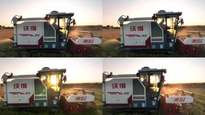 收割机稻田收割水稻