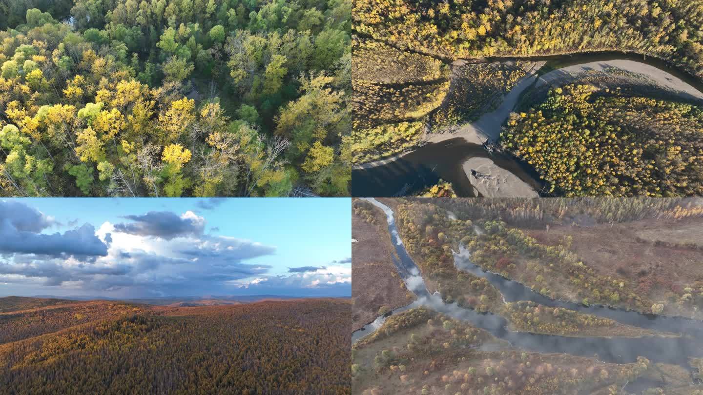航拍秋天多彩的森林合集