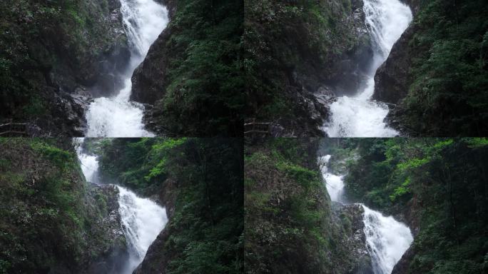 4K 郴州 宜章 莽山 山 水 溪流