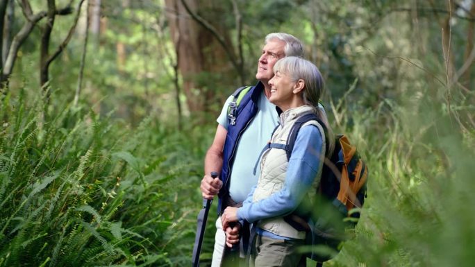 老年夫妇，森林和徒步旅行的点，搜索和交谈的微笑，冒险和思考的自然。老人、老妇和户外的森林，假期和郊游