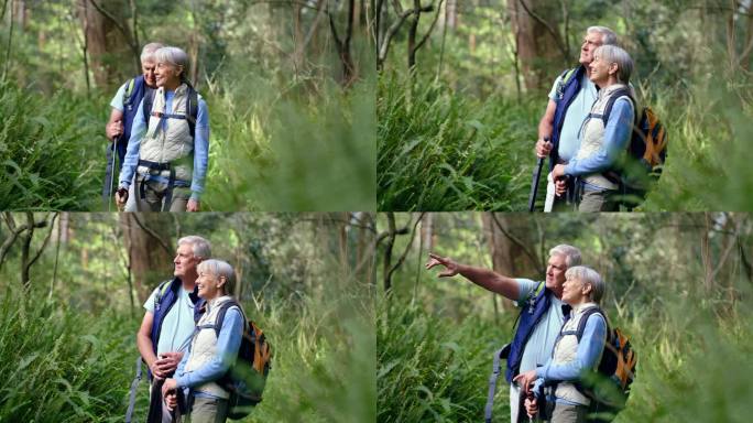 老年夫妇，森林和徒步旅行的点，搜索和交谈的微笑，冒险和思考的自然。老人、老妇和户外的森林，假期和郊游