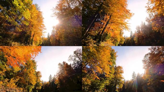 在一个阳光明媚的秋日，穿过风景如画的风景